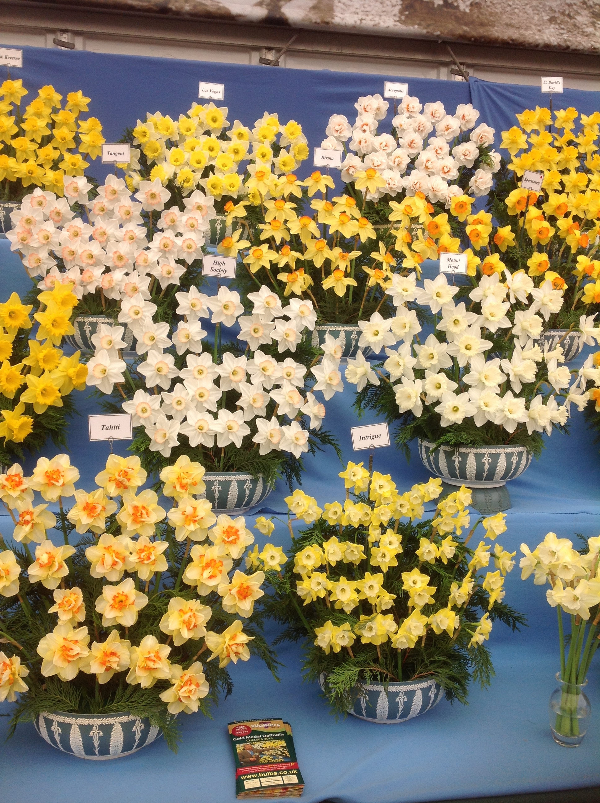 Daffodil Rag Rug Inspiration