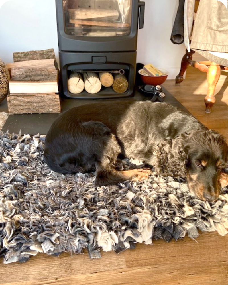 Grey woollen traditional proggy rag rug with dog sleeping
