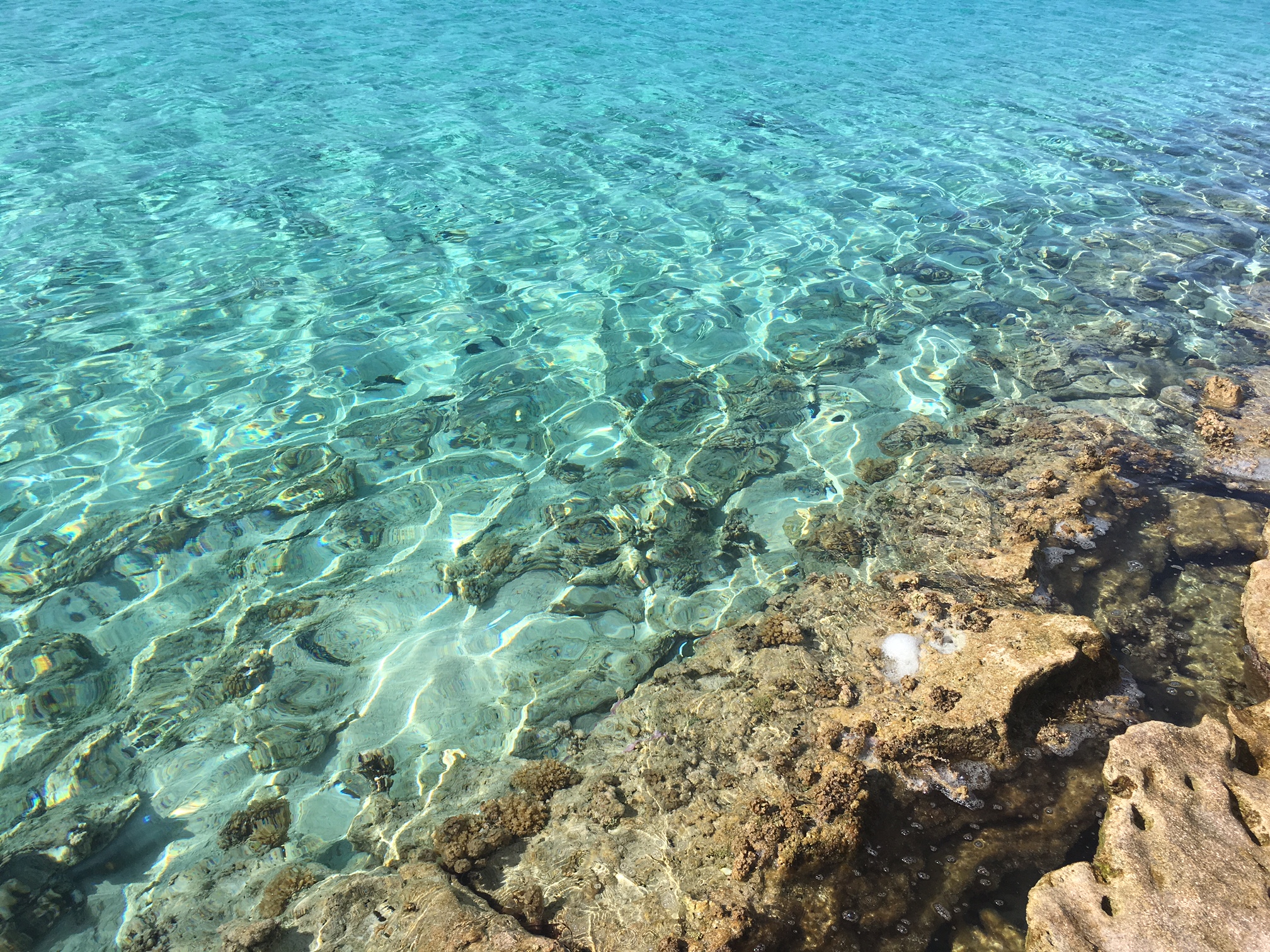 Crystal Clear Water on One Foot Island