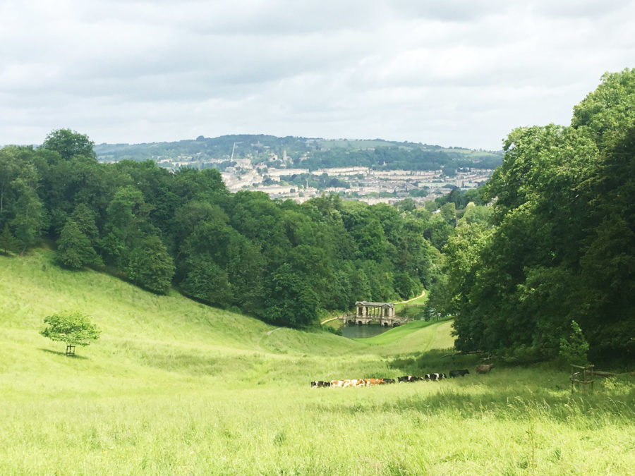 The view over Prior Park in Bath