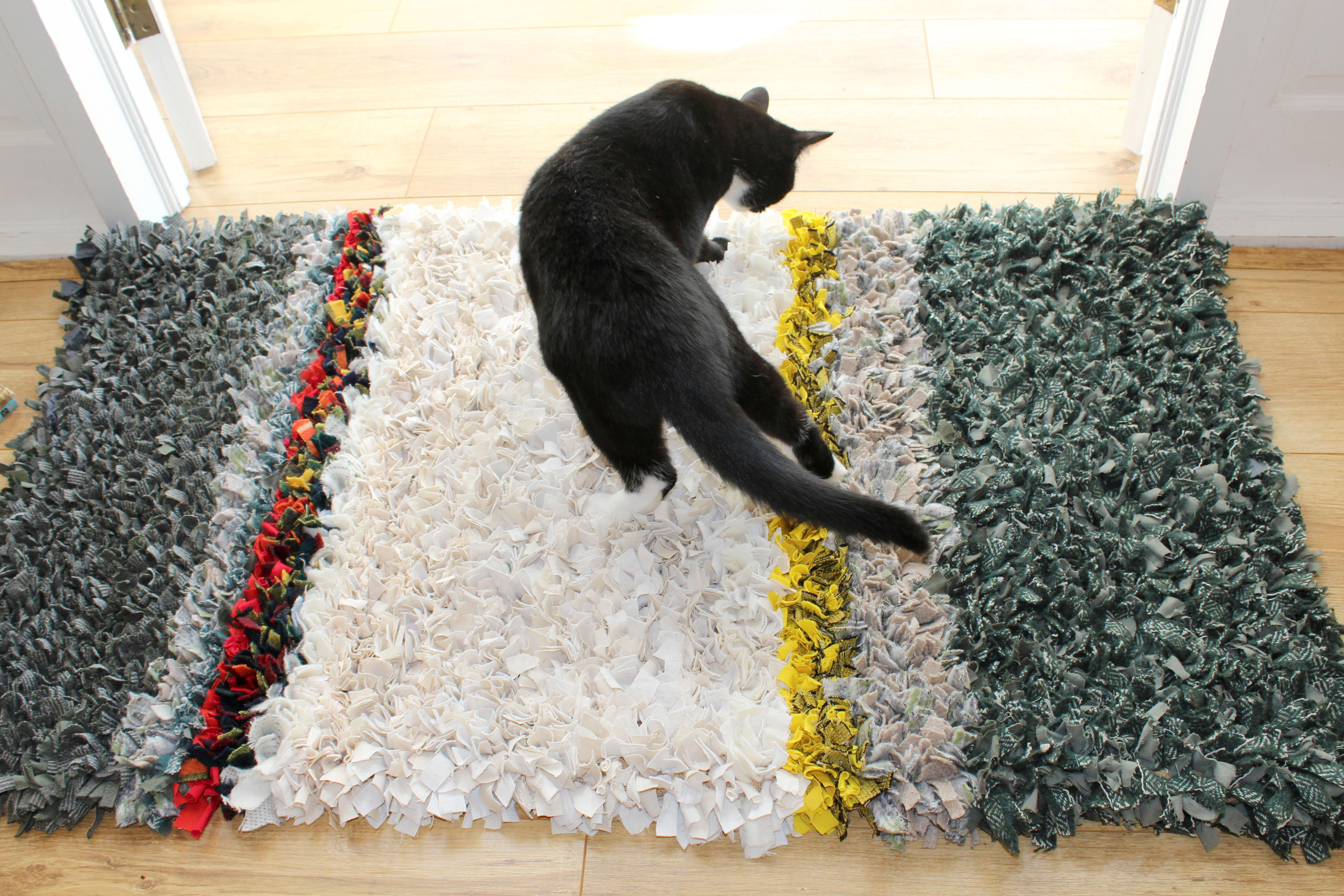 Cat on handmade rag rug in cream, green, yellow and green
