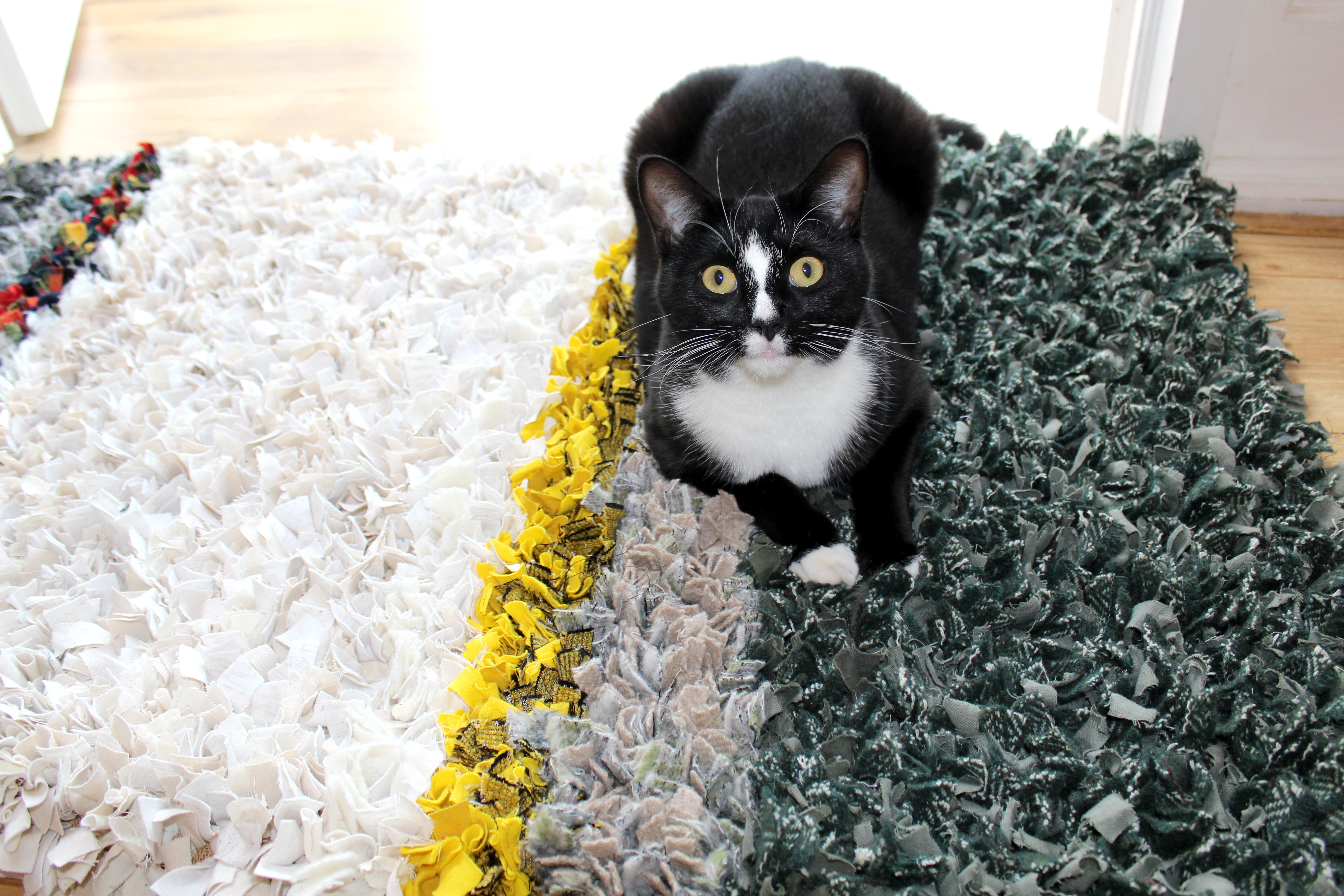 Proggy rag rug with black and white cat sitting on it