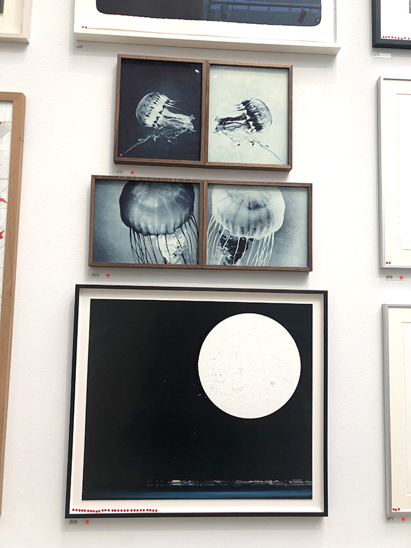 Jellyfish artwork at the 2019 Summer Exhibition at the Royal Academy of Arts