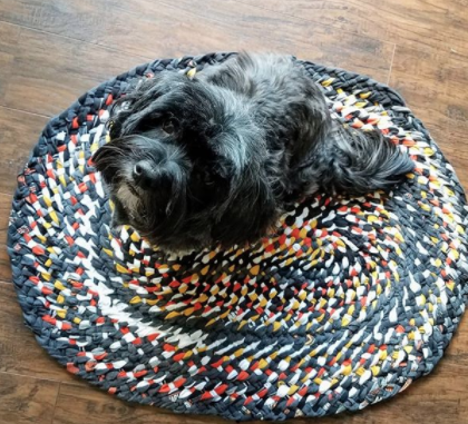 oval shaped twined multicoloured rag rug
