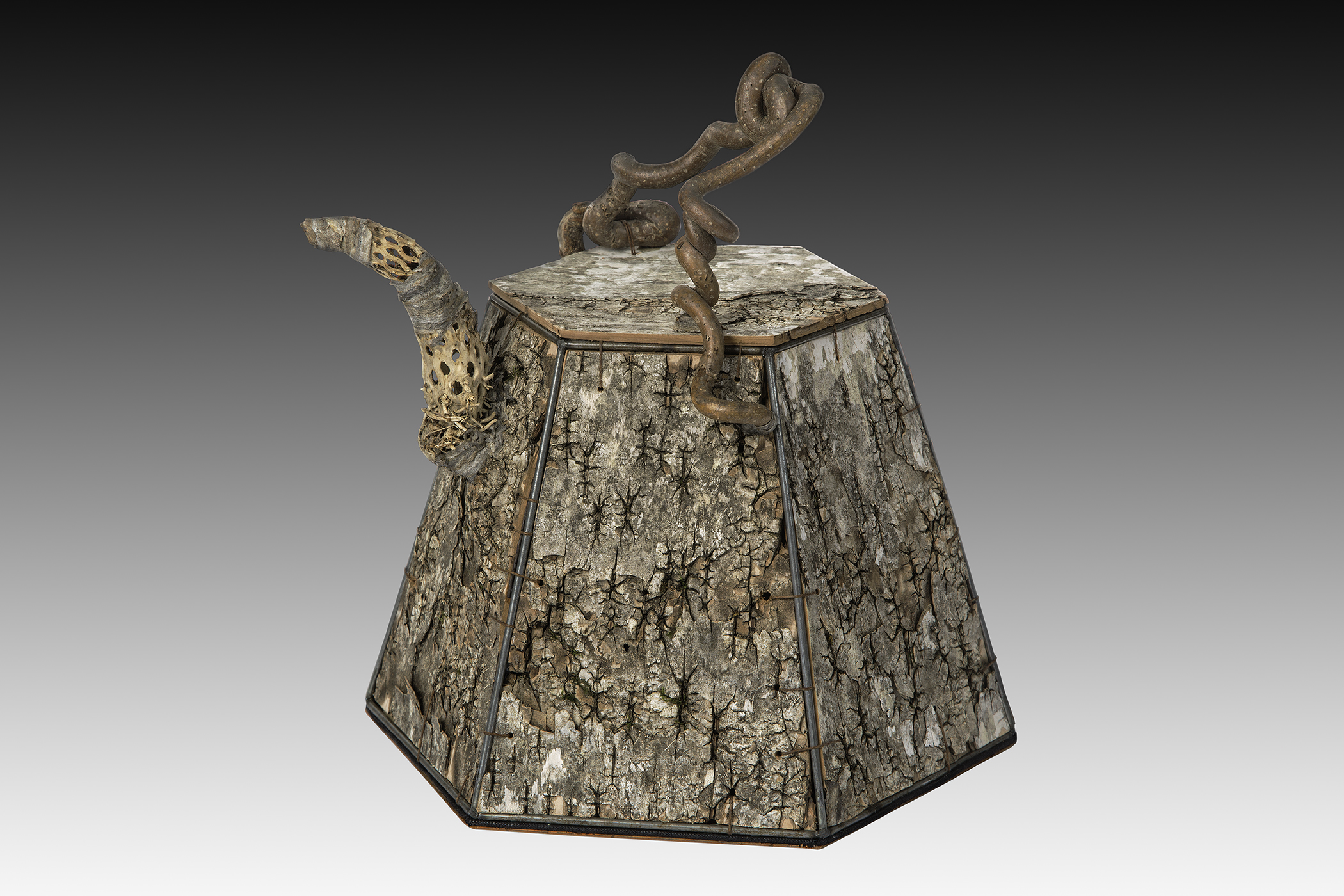 Liz Alpert Fay Sculpture Teapot
