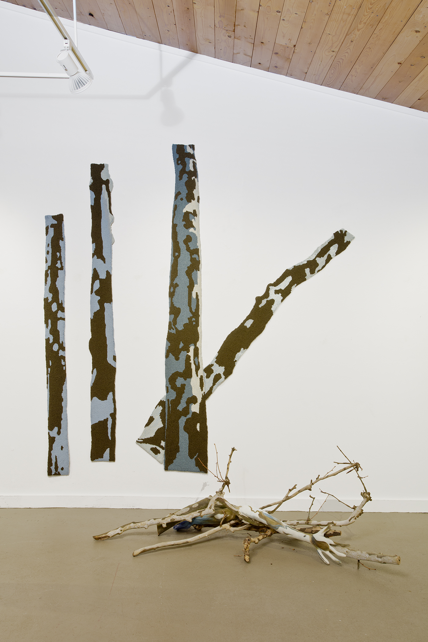 Sycamore Trees Instillation Liz Alpert Fay